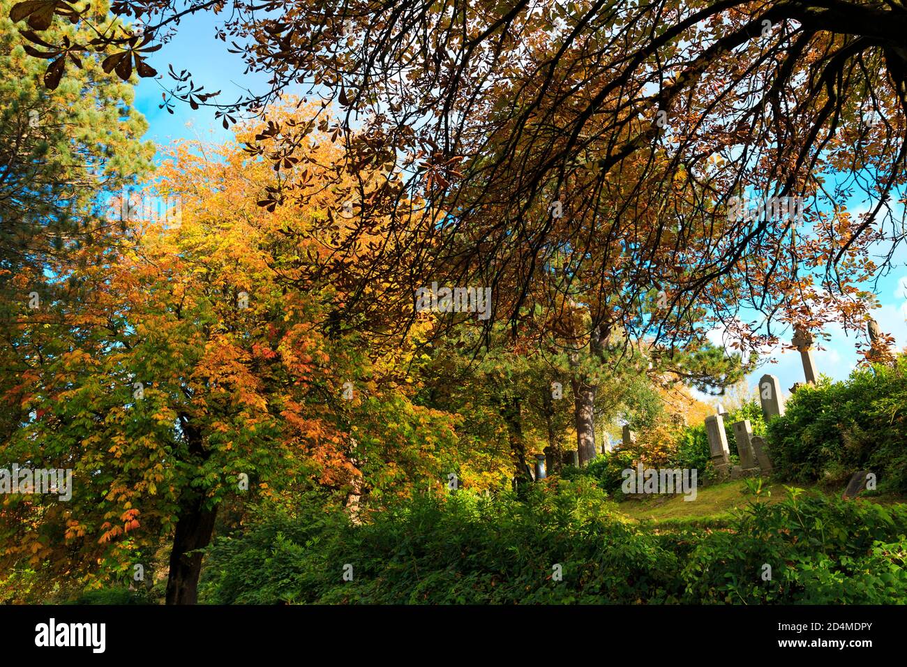 Autumn Things 2020 Stock Photo Alamy Autumn Things 2020 Stock Photo Alamy