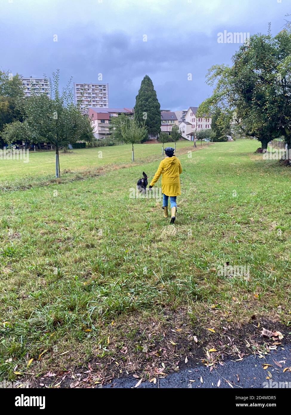 Happy woman in yellow raincoat and rain boots with jaguar pattern playing with dog on rainy day in autumn. Stock Photo