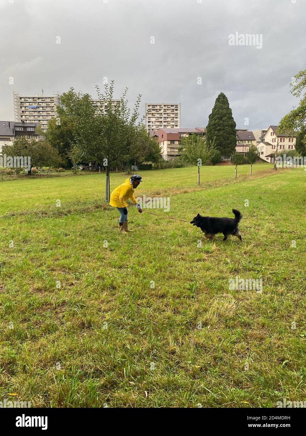 Happy woman in yellow raincoat and rain boots with jaguar pattern playing with dog on rainy day in autumn. Stock Photo