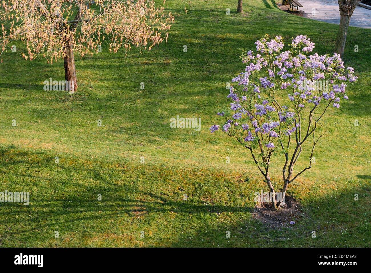 Spring scene 19th century hires stock photography and images Alamy