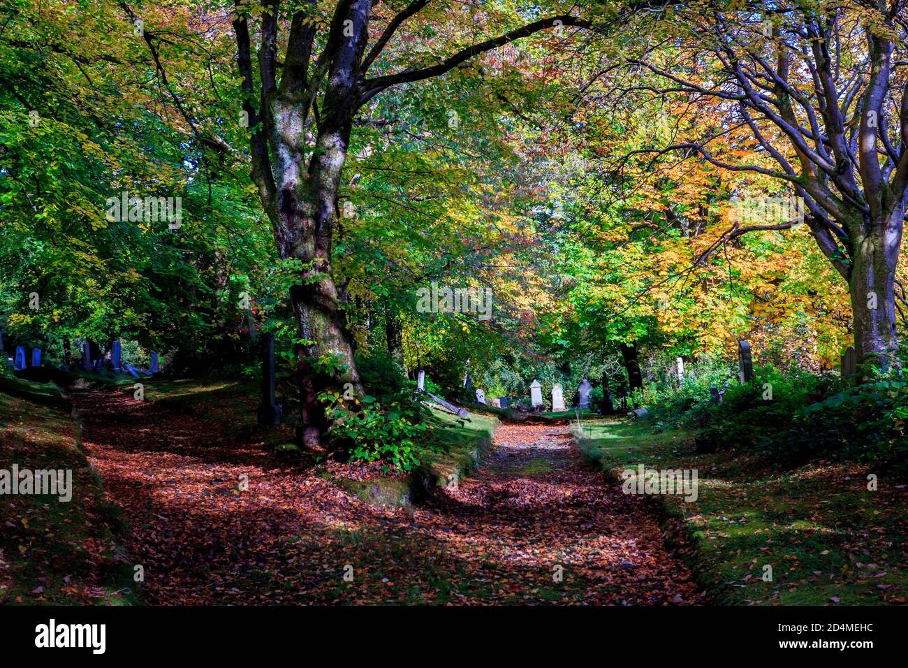 Autumn Things 2020 Stock Photo Alamy Autumn Things 2020 Stock Photo Alamy