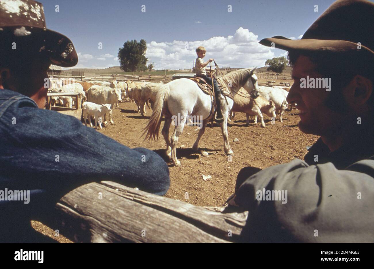 Old Time Ranchers 1972 rancher hi-res stock photography and images - Alamy