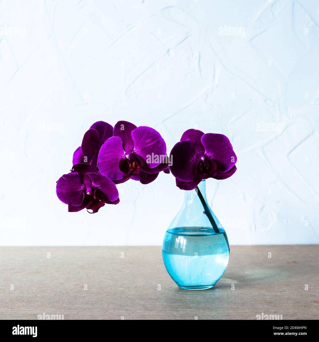 Purple orchid in glass vase on white background Stock Photo Alamy