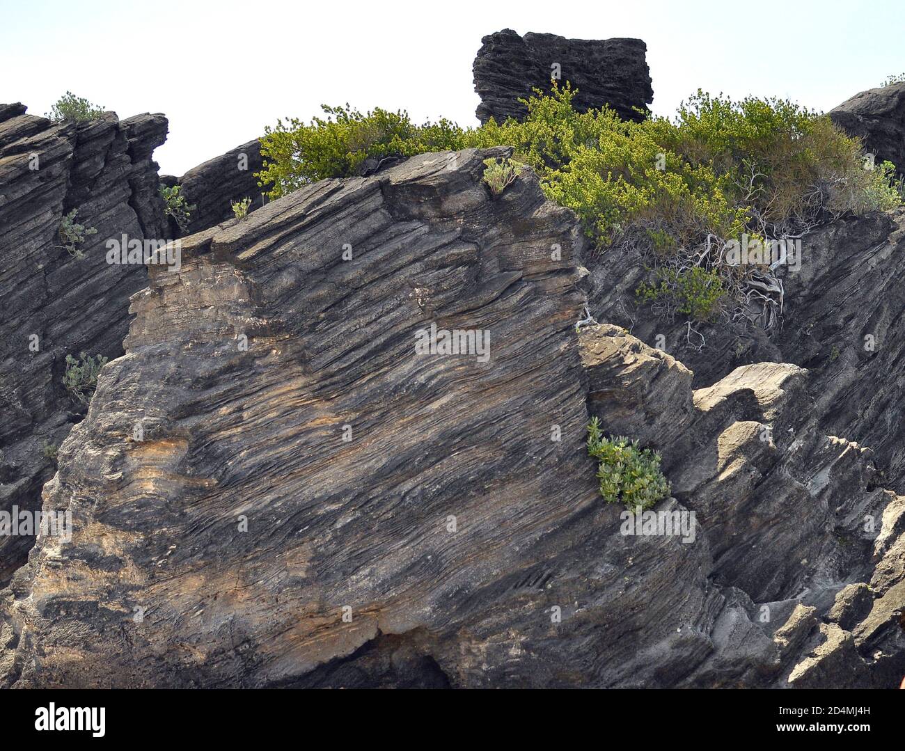 Valcona Rocks Texture Texture of a volcanic rock Stock Photo - Alamy