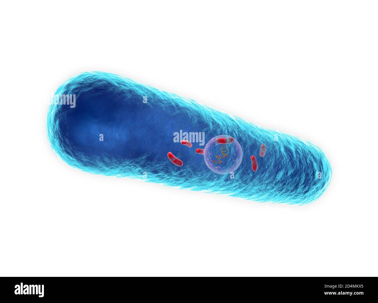 Illustration of Legionnaires' disease bacteria, the cause of