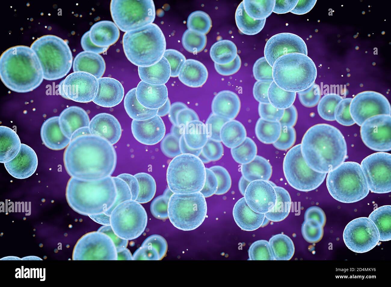 Illustration of Staphylococcus epidermidis bacteria. Staphylococcus