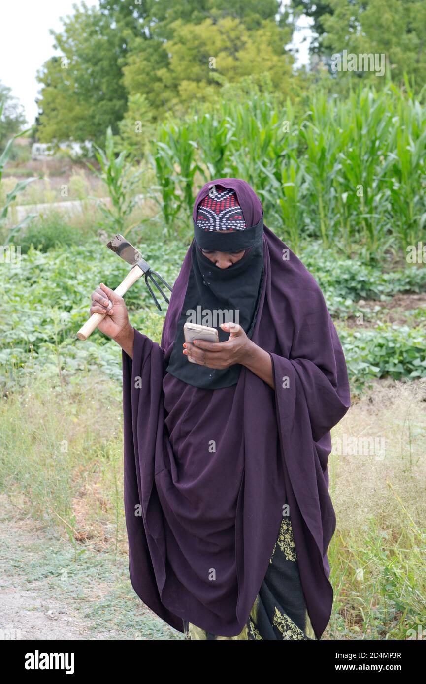 Somalian woman refugee using cell phone while howing weeds in a community garden near Boise, Idaho, USA Stock Photo