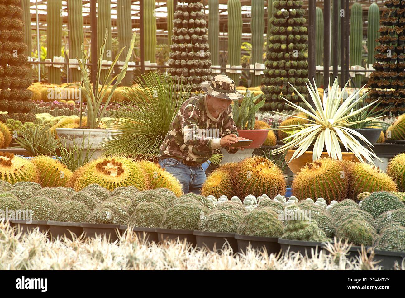 Further plantation hi-res stock photography and images - Alamy