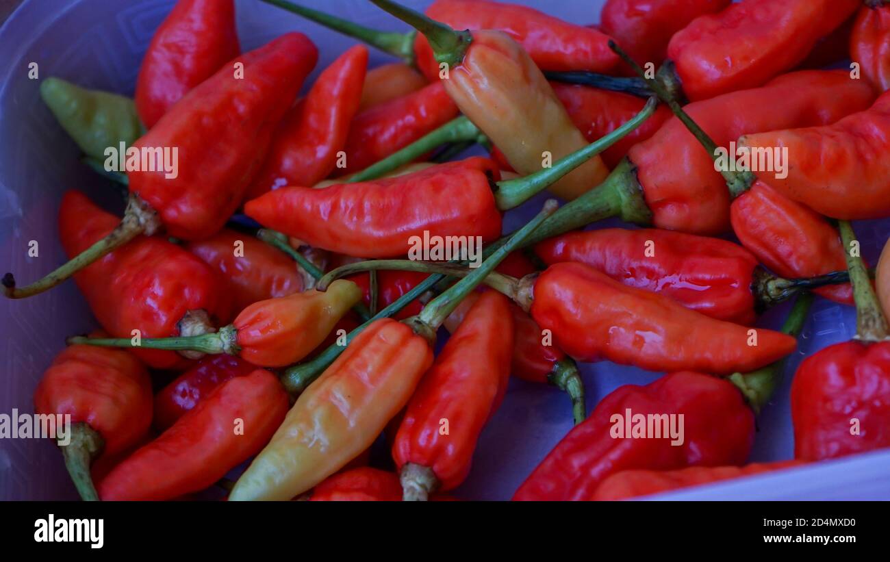Full frame view of red cayenne pepper Stock Photo - Alamy