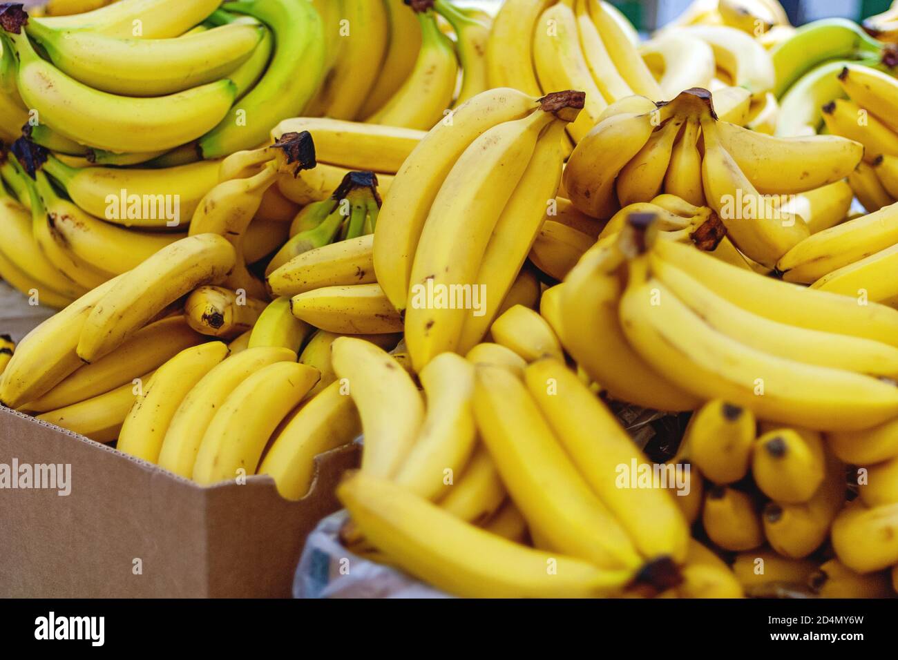 bananas in boxes sold in supermarket Stock Photo