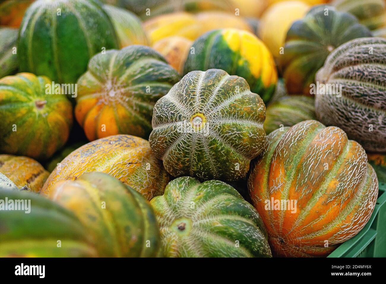 pile of ripe melons in supermarket Stock Photo
