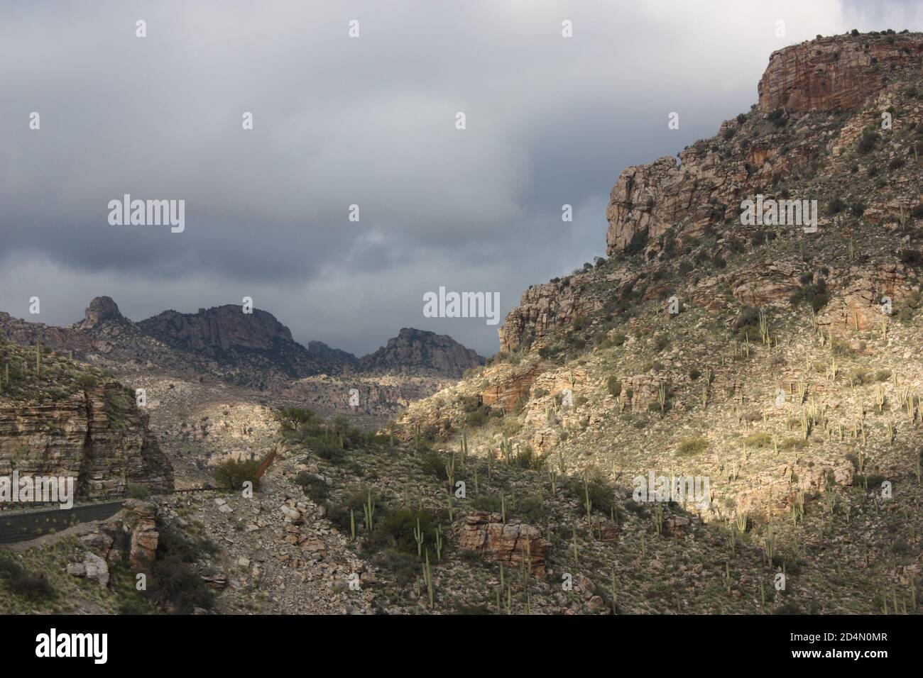 Sonoran Desert mountain slopes blanketed with Saquaro cactus under a dramatically lit sky Stock Photo