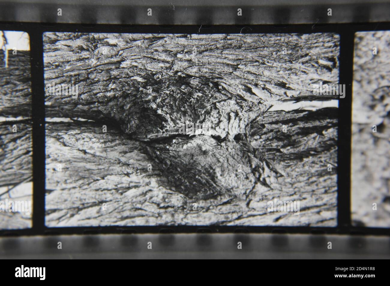 Fine 1970s vintage black and white photography of the beauty of nature ...