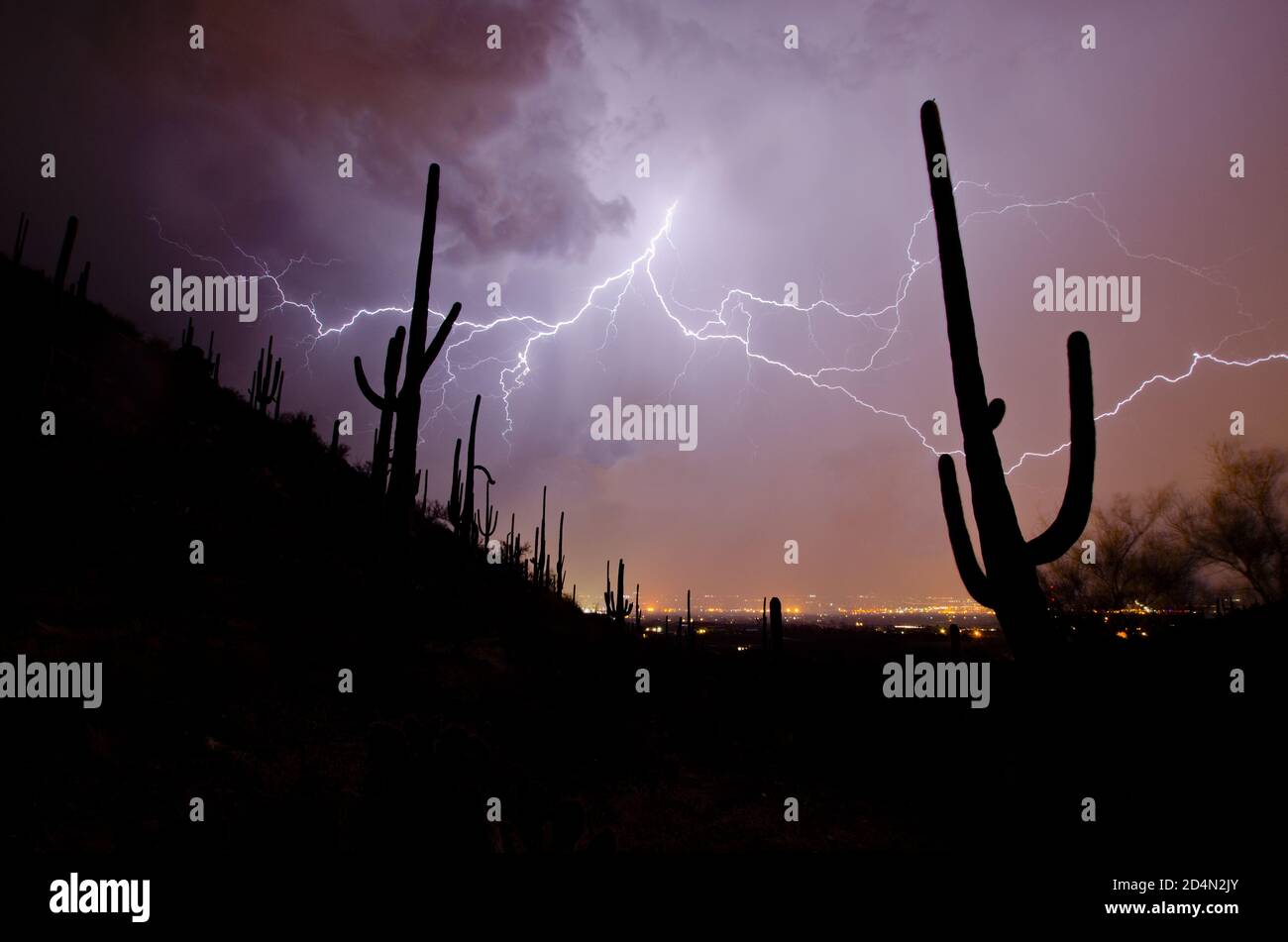 Lightning Over Tucson City Lights Stock Photo Alamy