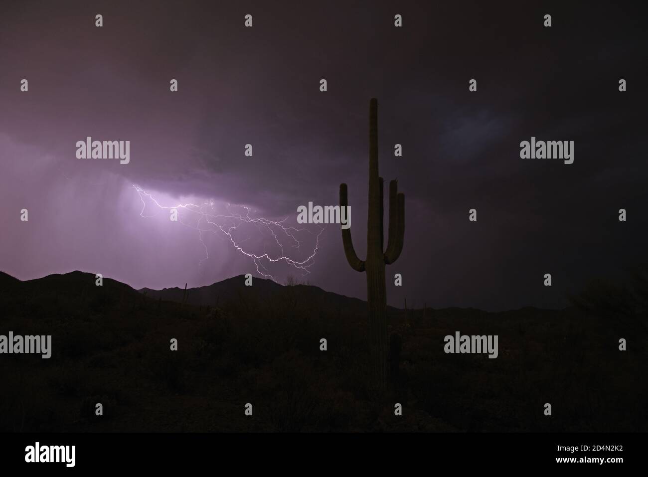 Lightning over the sonoran desert at night Stock Photo