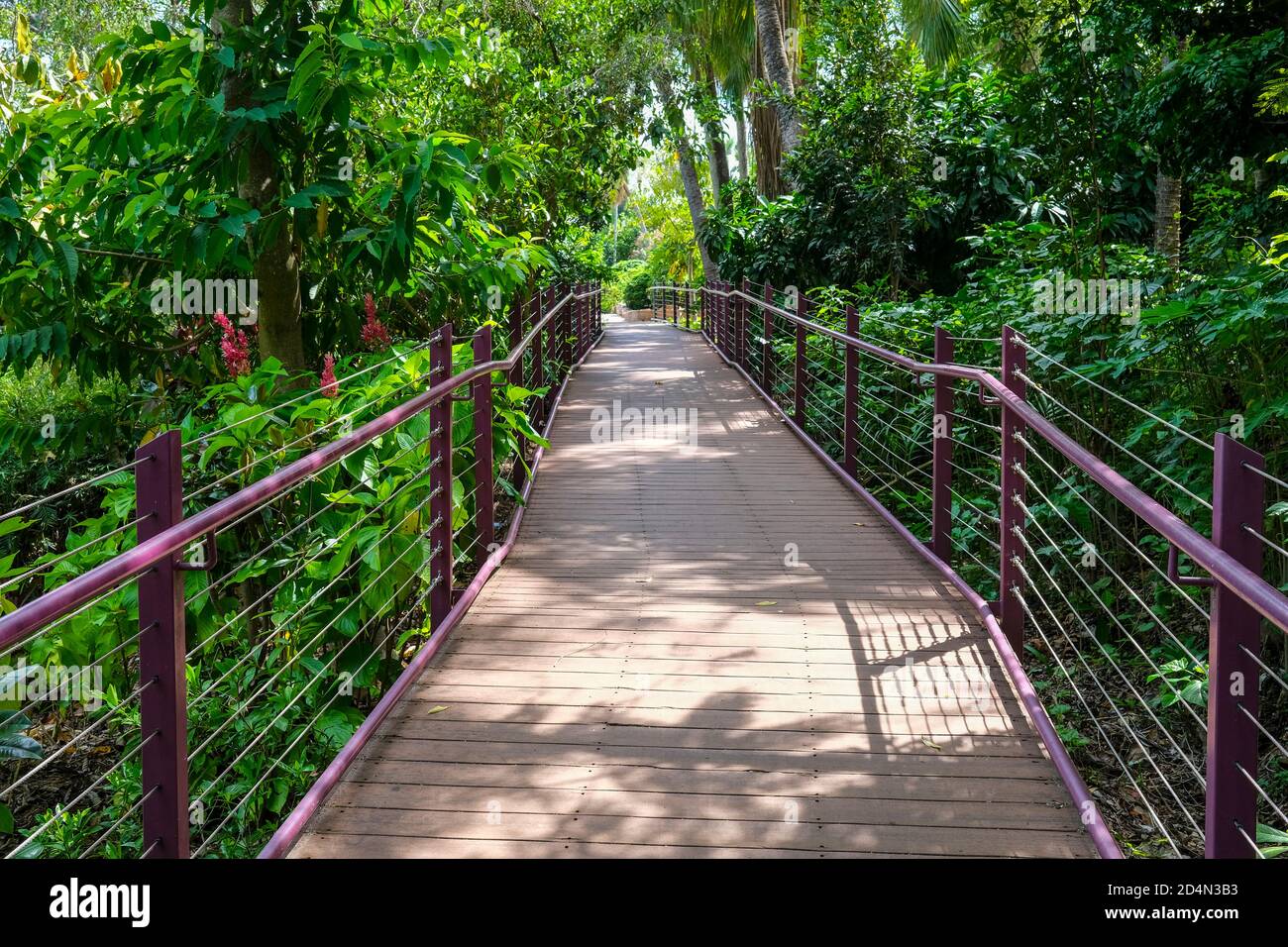 Boardwalk in the George Brown Darwin Botanic Gardens in Darwin City in the Northern Territory of Australia. Stock Photo