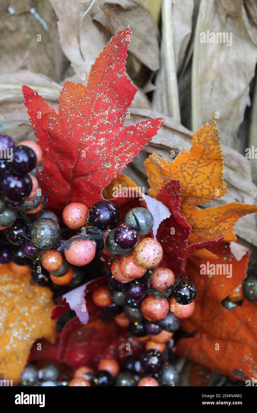 Fall In St Charles MO Stock Photo Alamy