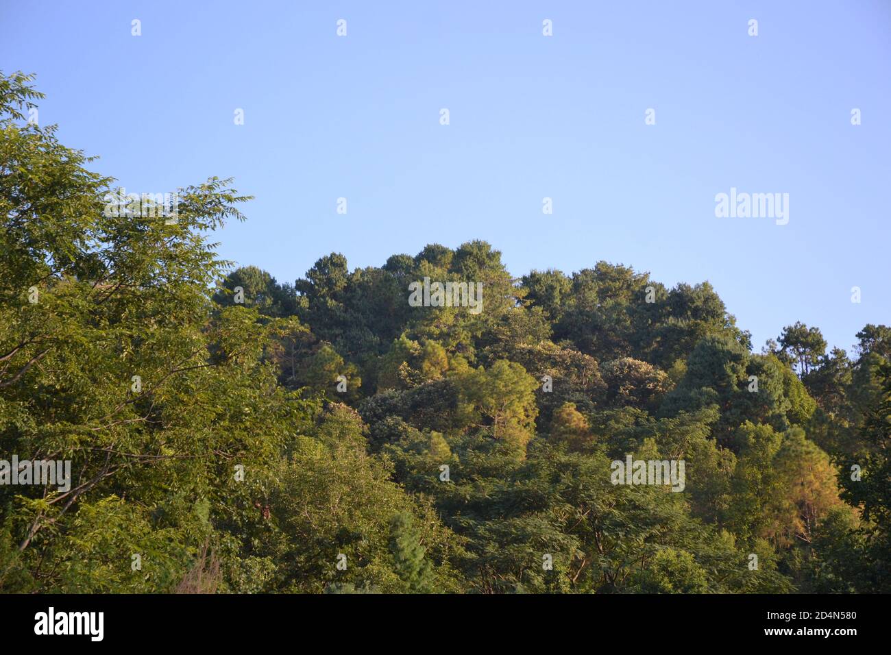Nature at its best. clouds, trees, hills, forest, greenary, blue sky and much more. Stock Photo