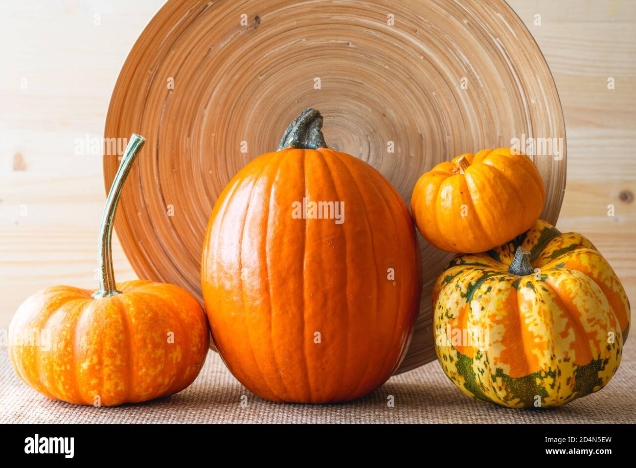 Variety of fall pumpkins and squash close up on wooden background Stock Photo