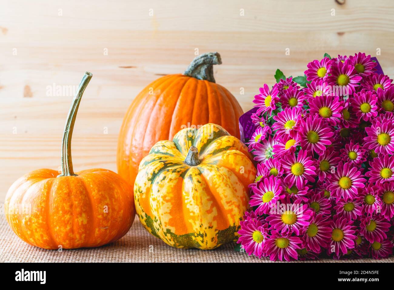 Fall decoration with pumpkins and squash, and beautiful magenta red chrysanthemums. Still life, wooden background with copy space Stock Photo