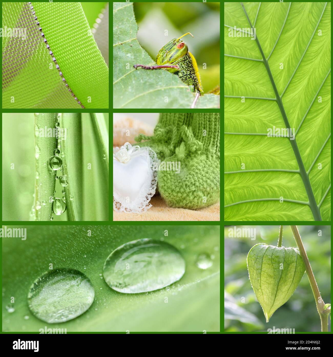 Green Collage Examples Color concept: green collage with plants and objects Stock Photo - Alamy