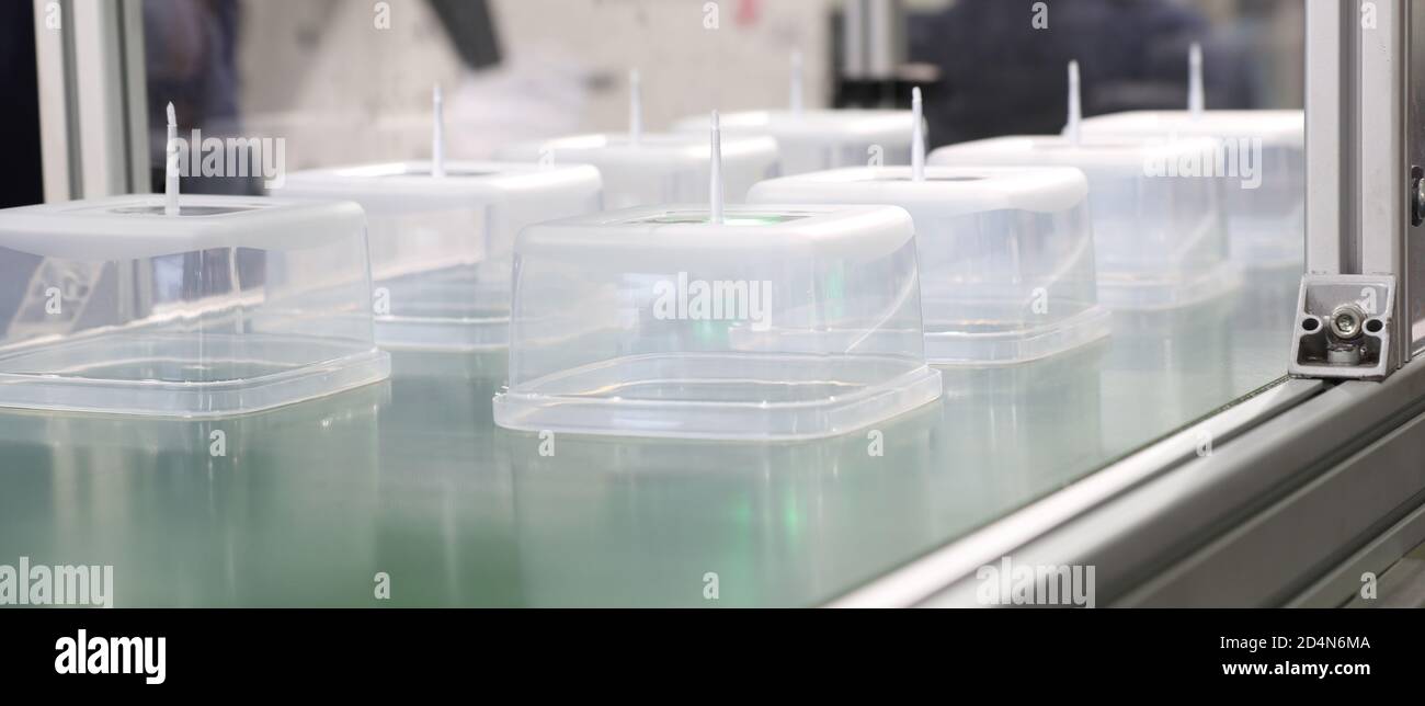 polypropylene food containers on conveyor belt of a plastic injection  machine Stock Photo