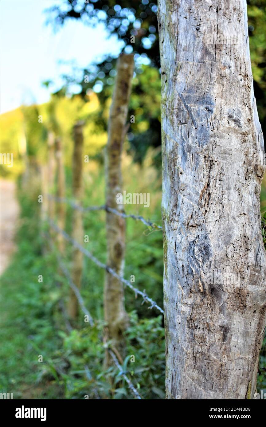 A fence made of wood sticks and barbed wire encloses a private land Stock Photo
