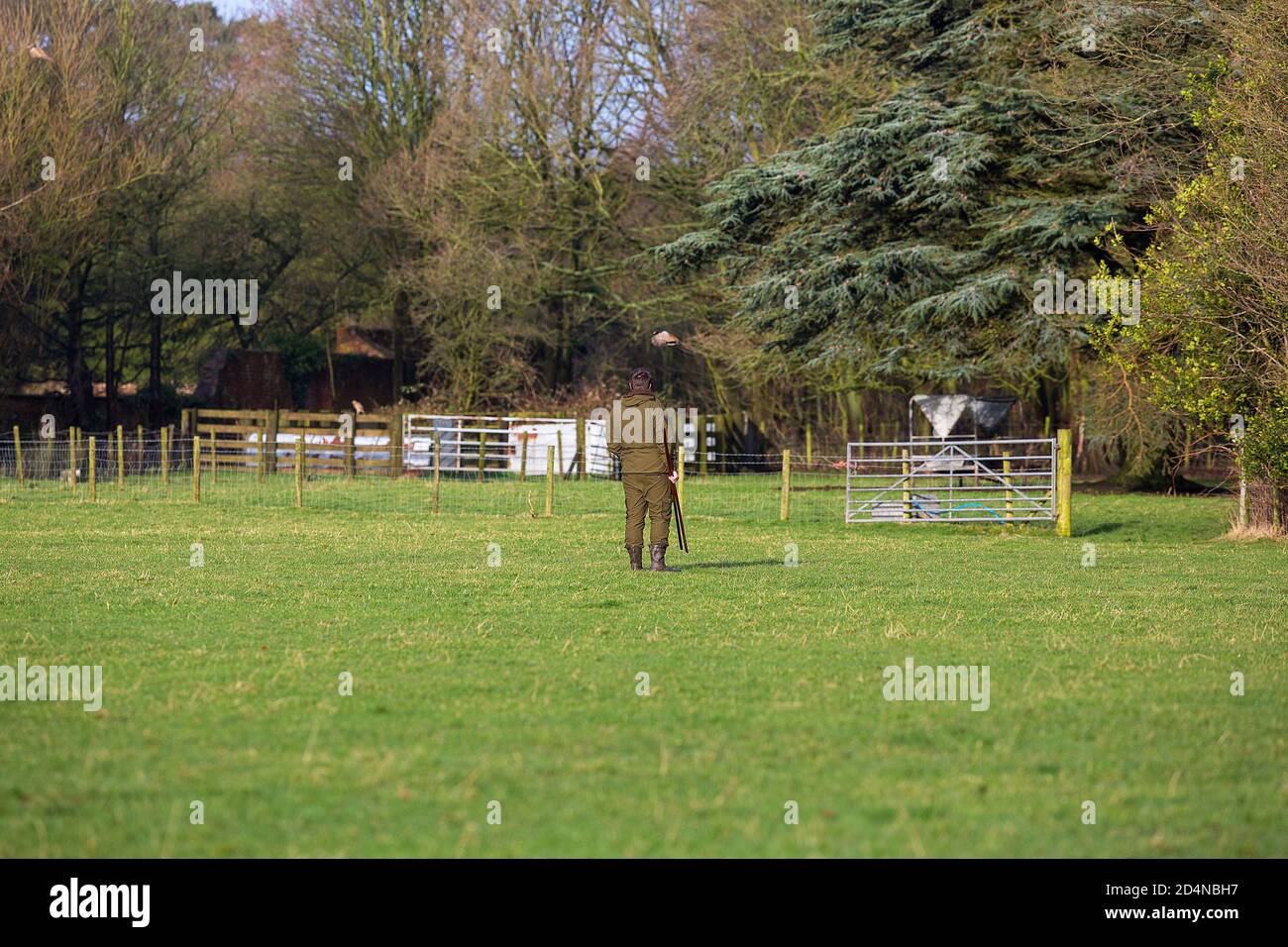 Beaters on a shoot hires stock photography and images Alamy