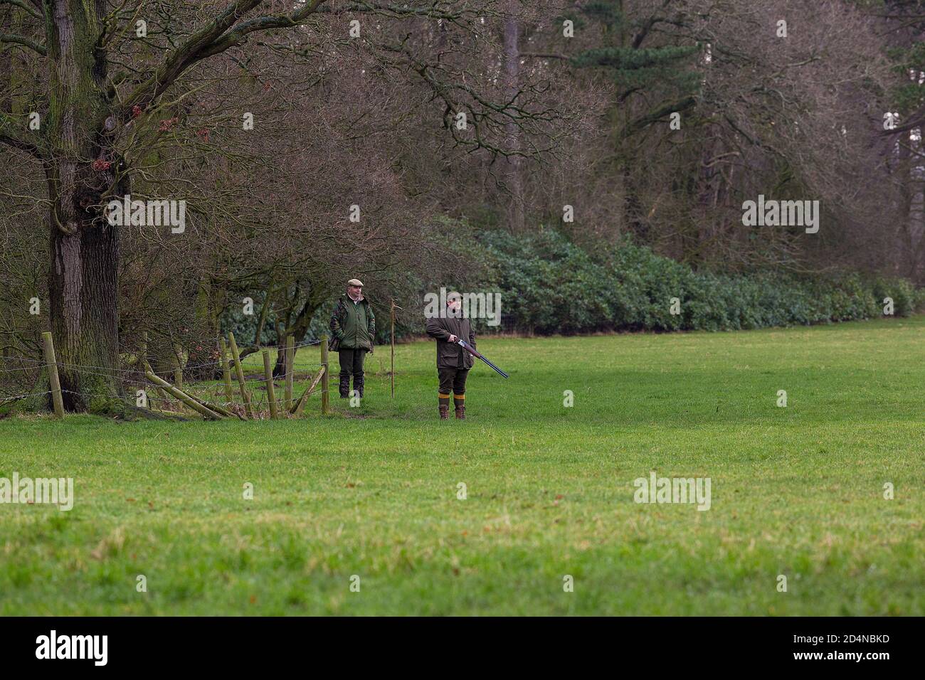 Waiting for the start of the drive at a game shoot in Lancashire, England Stock Photo