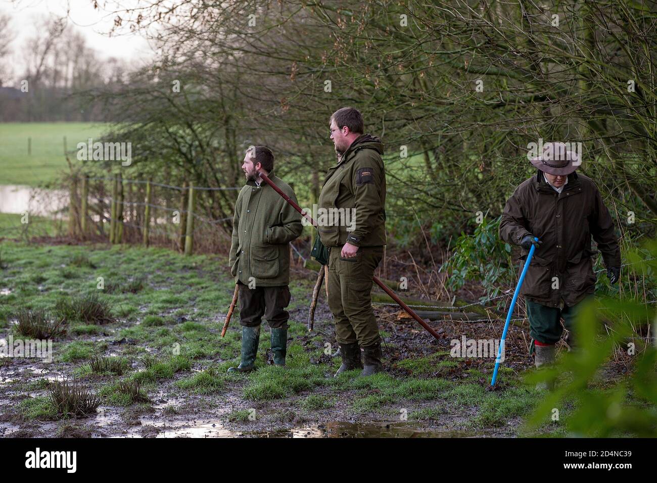 Beaters at work on a game shoot in Lancashire, England Stock Photo Alamy