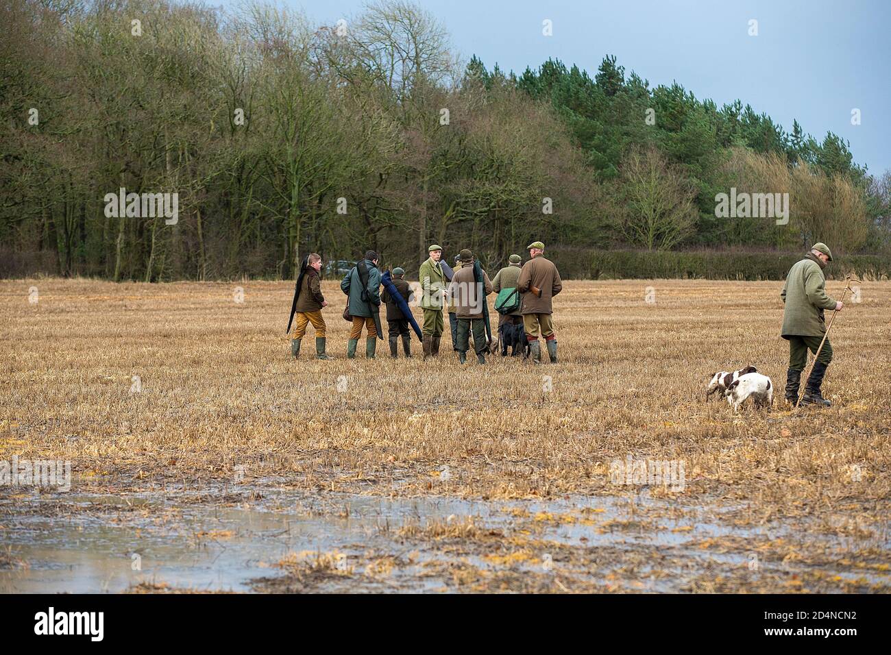 Beaters on a shoot hires stock photography and images Alamy