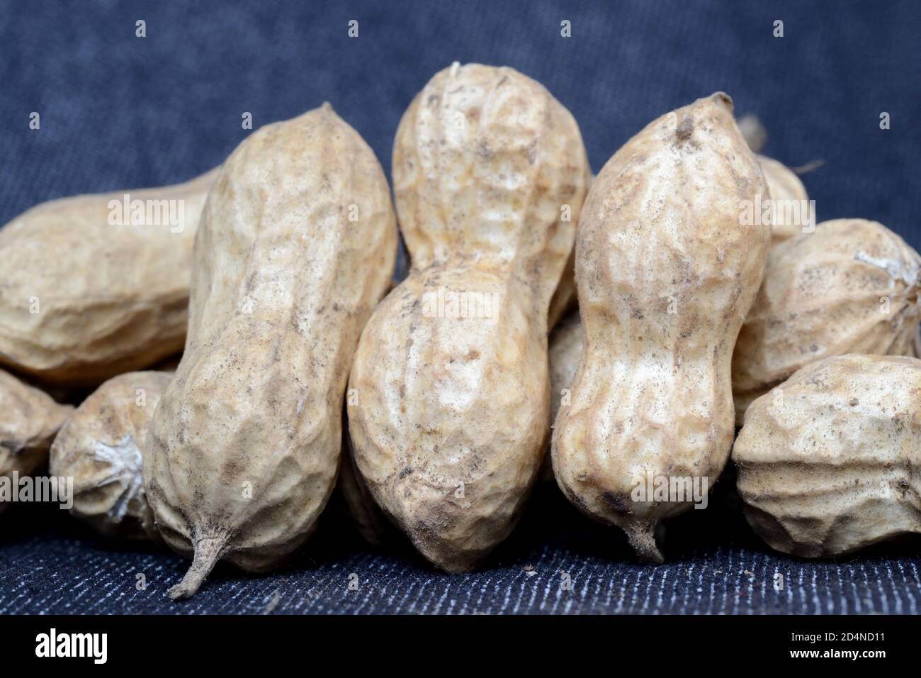 Groungnuts Peanuts groundnut groundnuts hi-res stock photography and images - Alamy