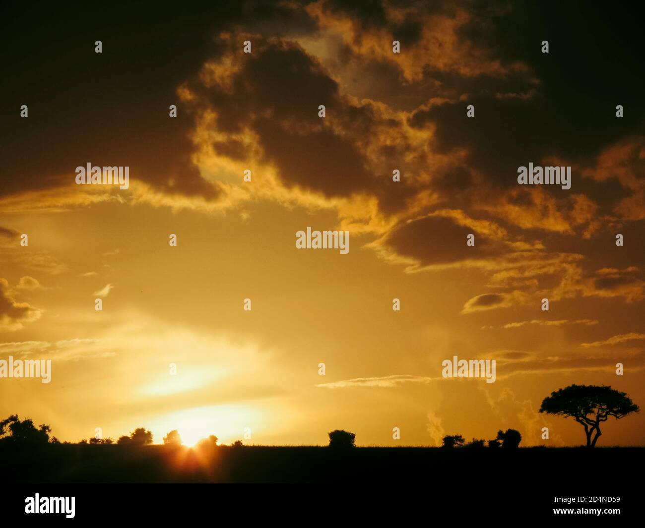 African sunset masai mara hi-res stock photography and images - Alamy