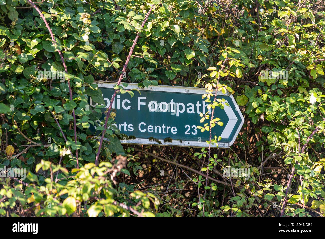 Public footpath 23 to sports centre in Hawkwell, Rochford, Essex, UK. Rural, countryside area north of Southend. Overgrown direction sign to leisure Stock Photo
