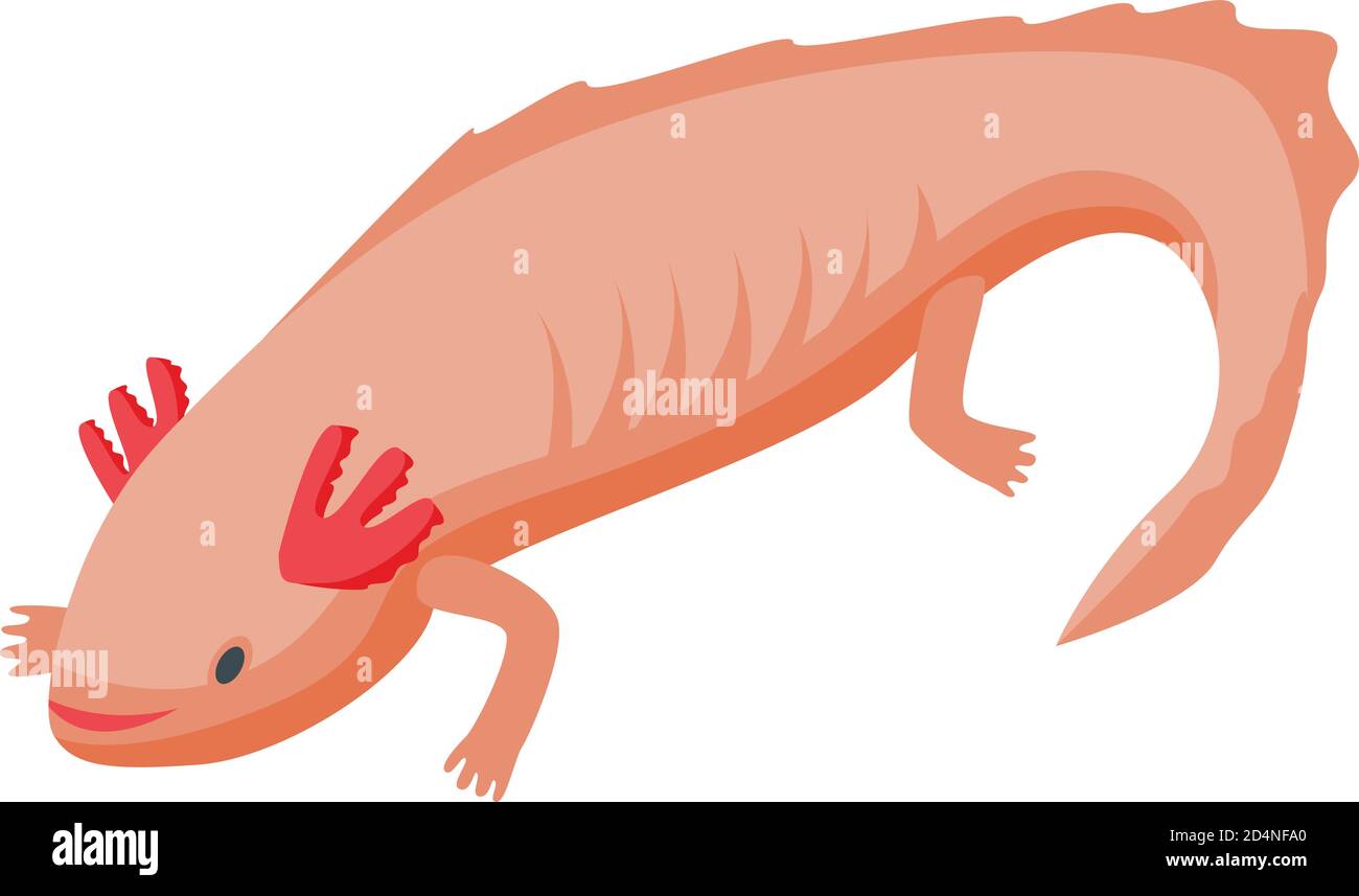 Axolotl lizard icon, isometric style Stock Vector