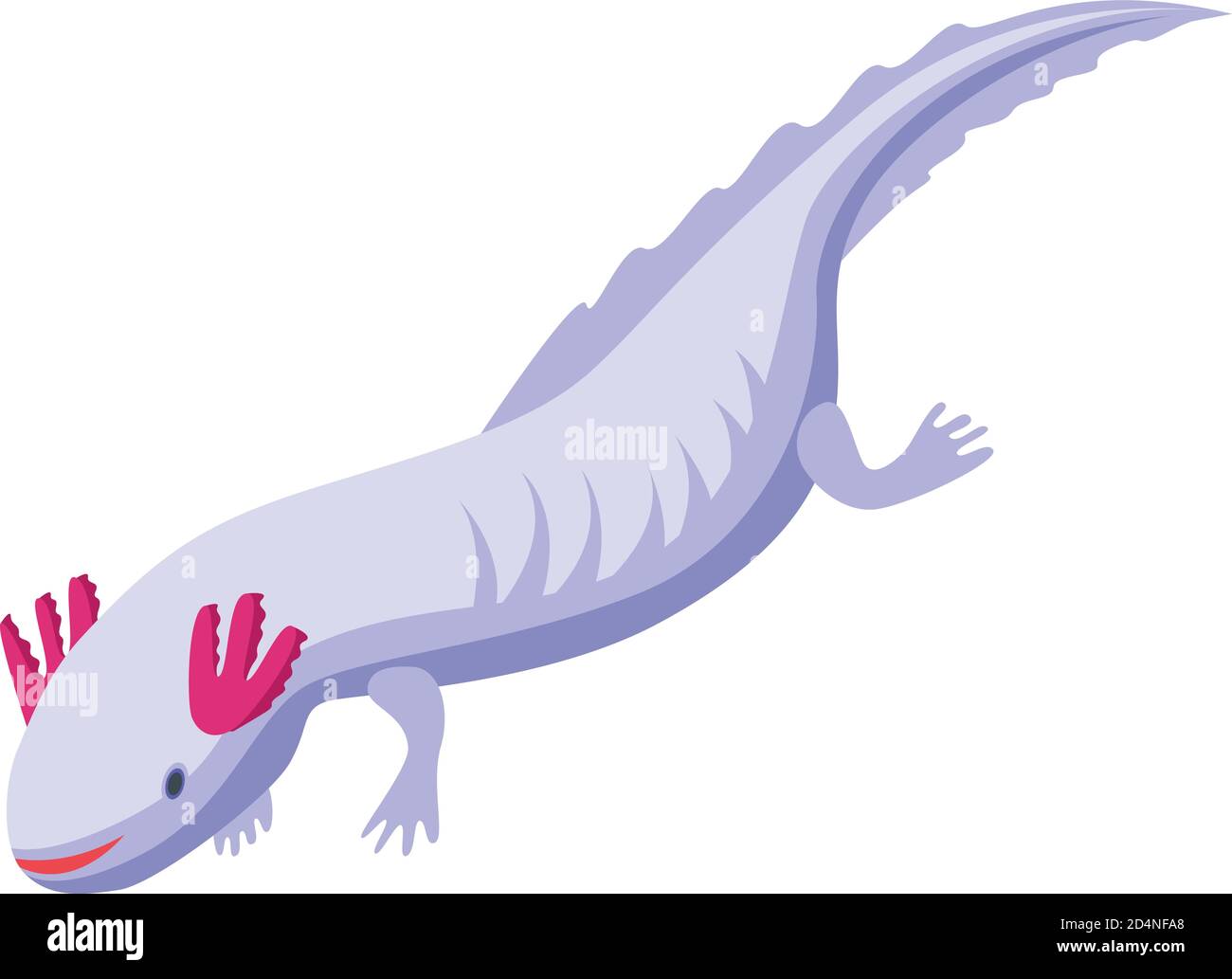 Axolotl amphibia icon, isometric style Stock Vector