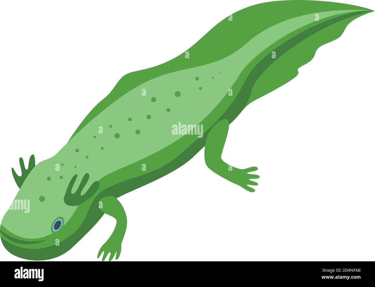 Mexican axolotl icon, isometric style Stock Vector