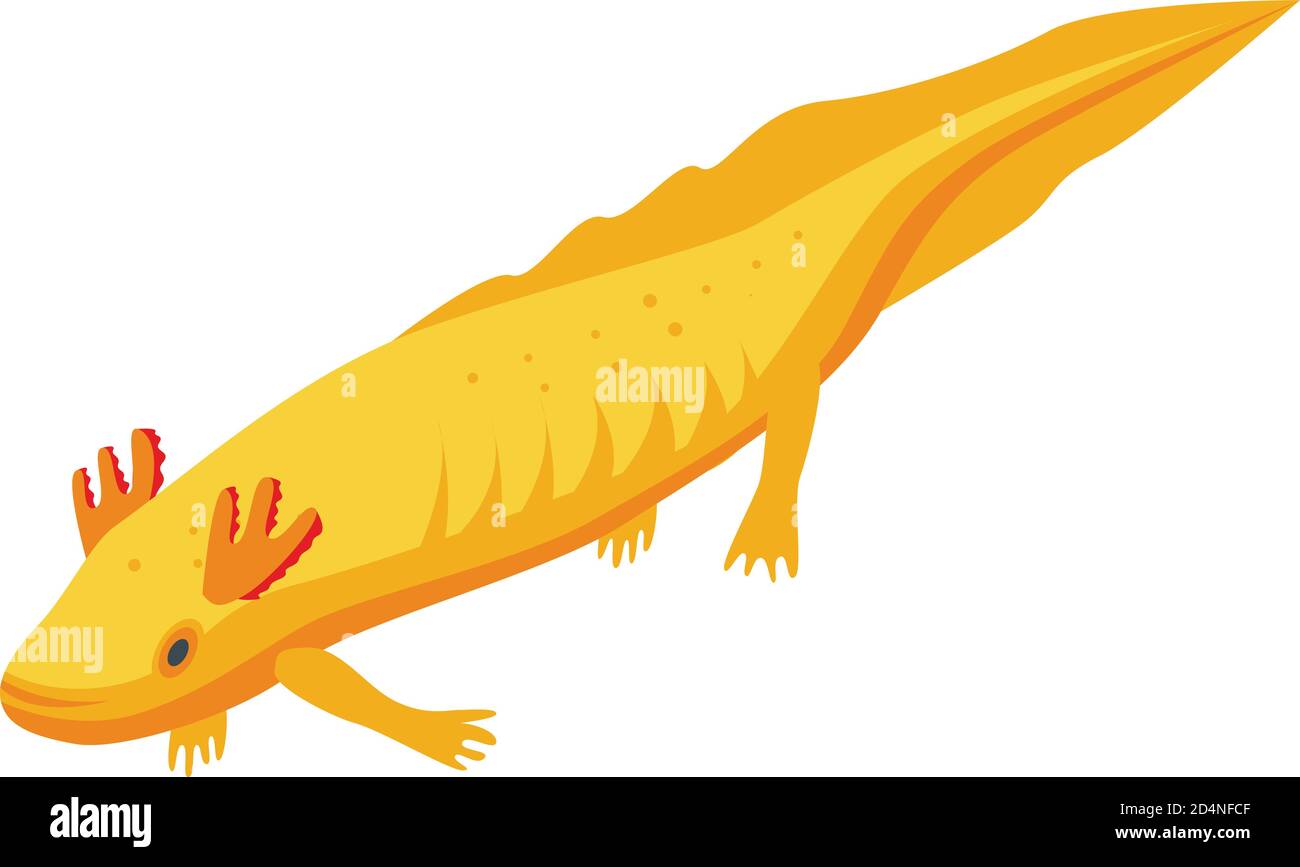 Axolotl pet icon, isometric style Stock Vector