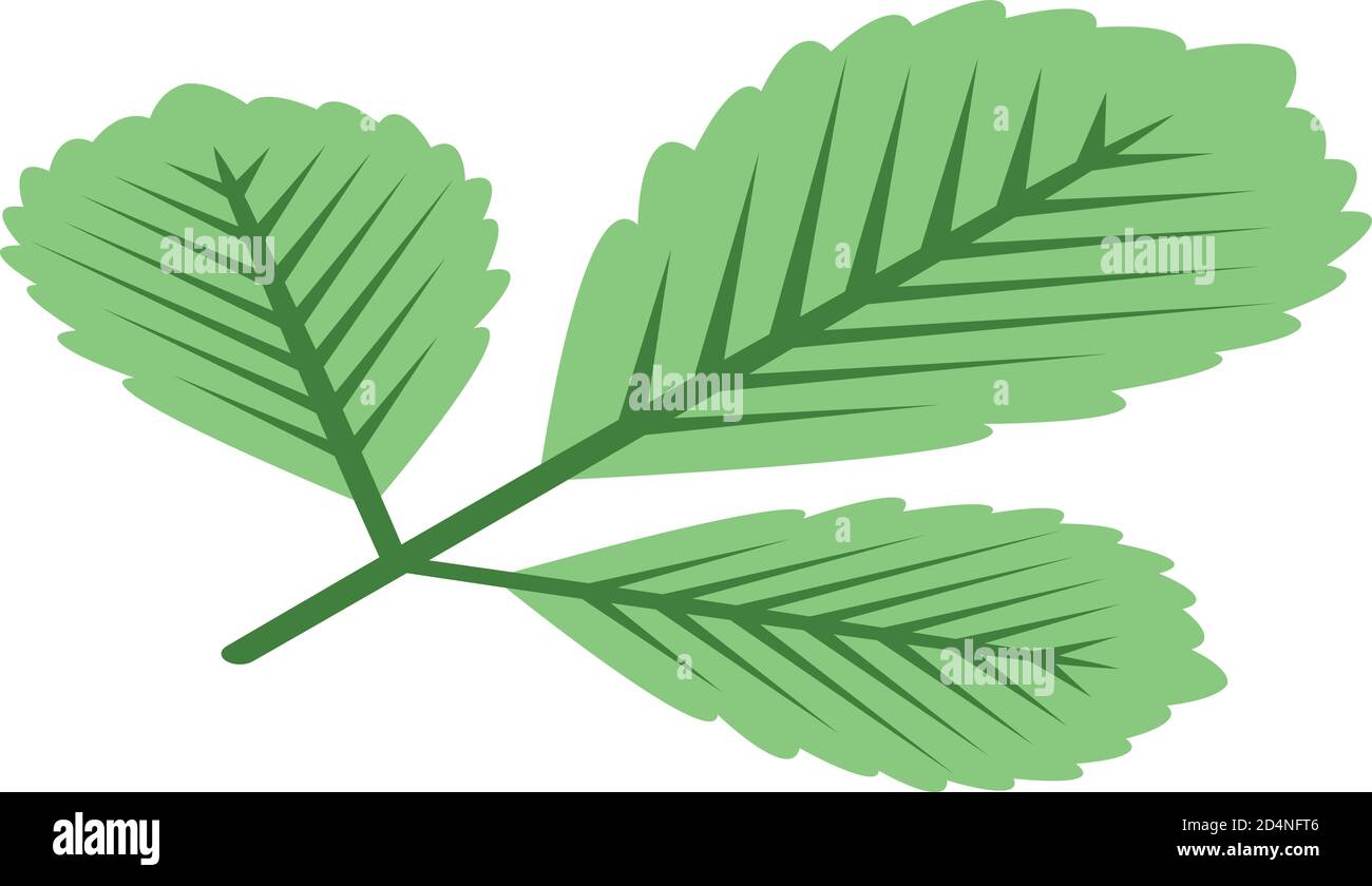 Green autumn leaf icon, isometric style Stock Vector