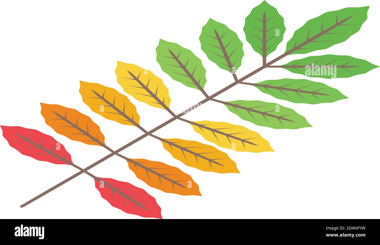 Autumn leaf icon, isometric style Stock Vector