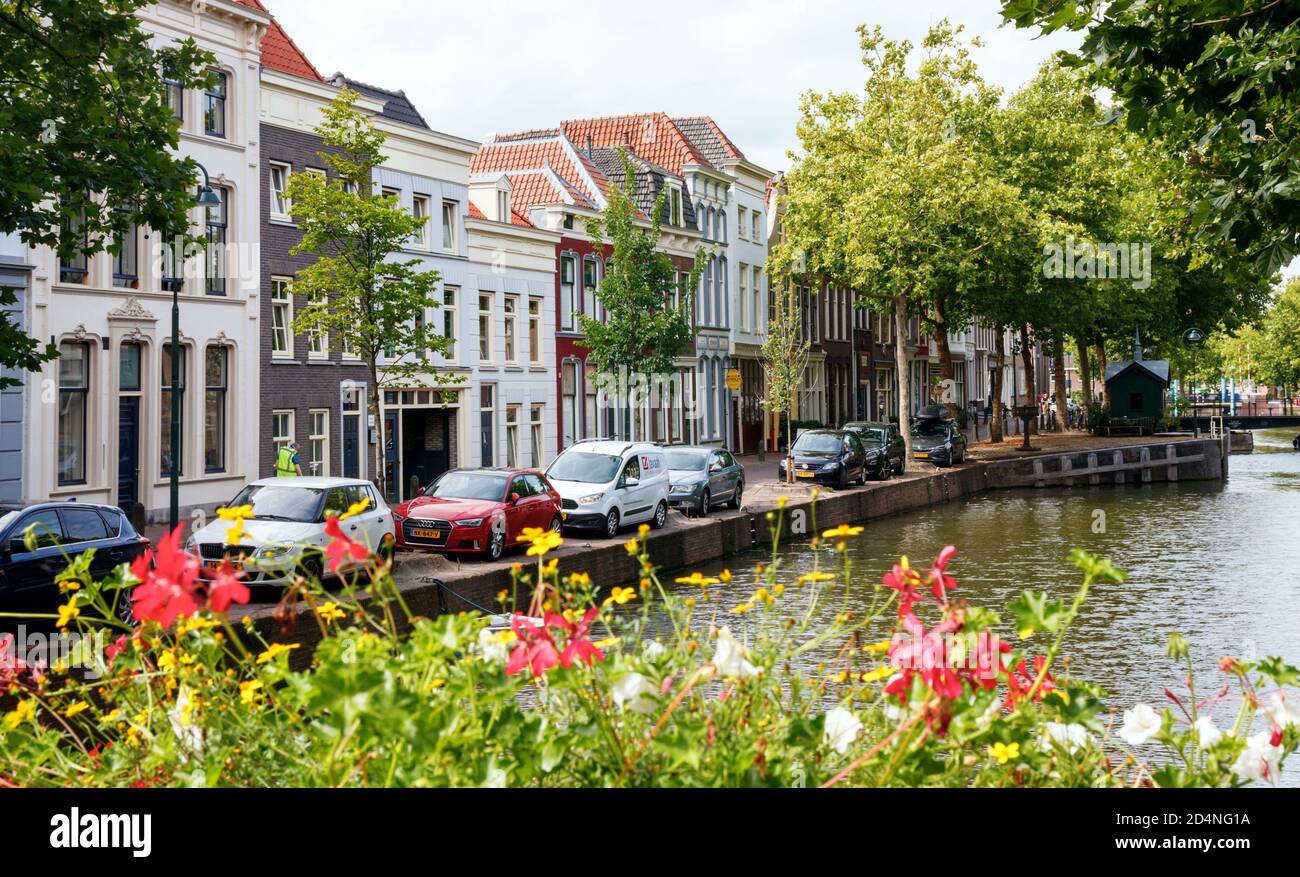 View of the Gouda old city centre. Lage Gouwe street with large canal trees and blooming flowers on a sunny afternoon. South Holland, The Netherlands. Stock Photo