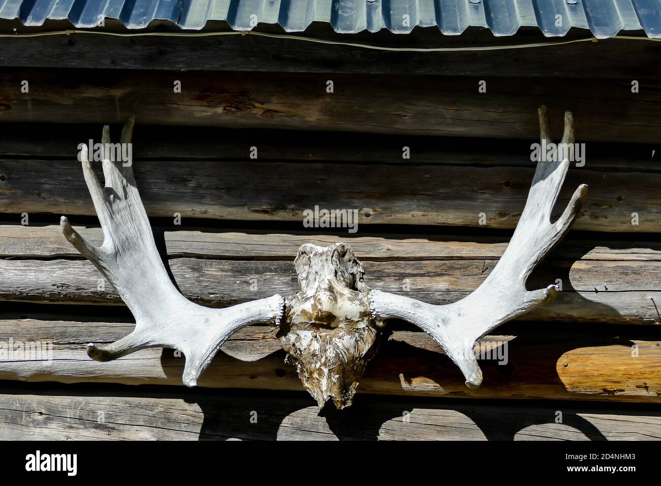 skull on the wall, in Sweden Scandinavia North Europe Stock Photo
