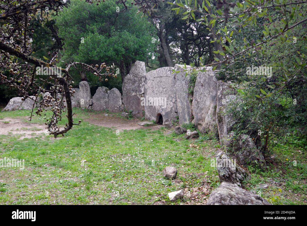 Pascaredda giants tomb in Calangianus, Sardinia, Italy Stock Photo