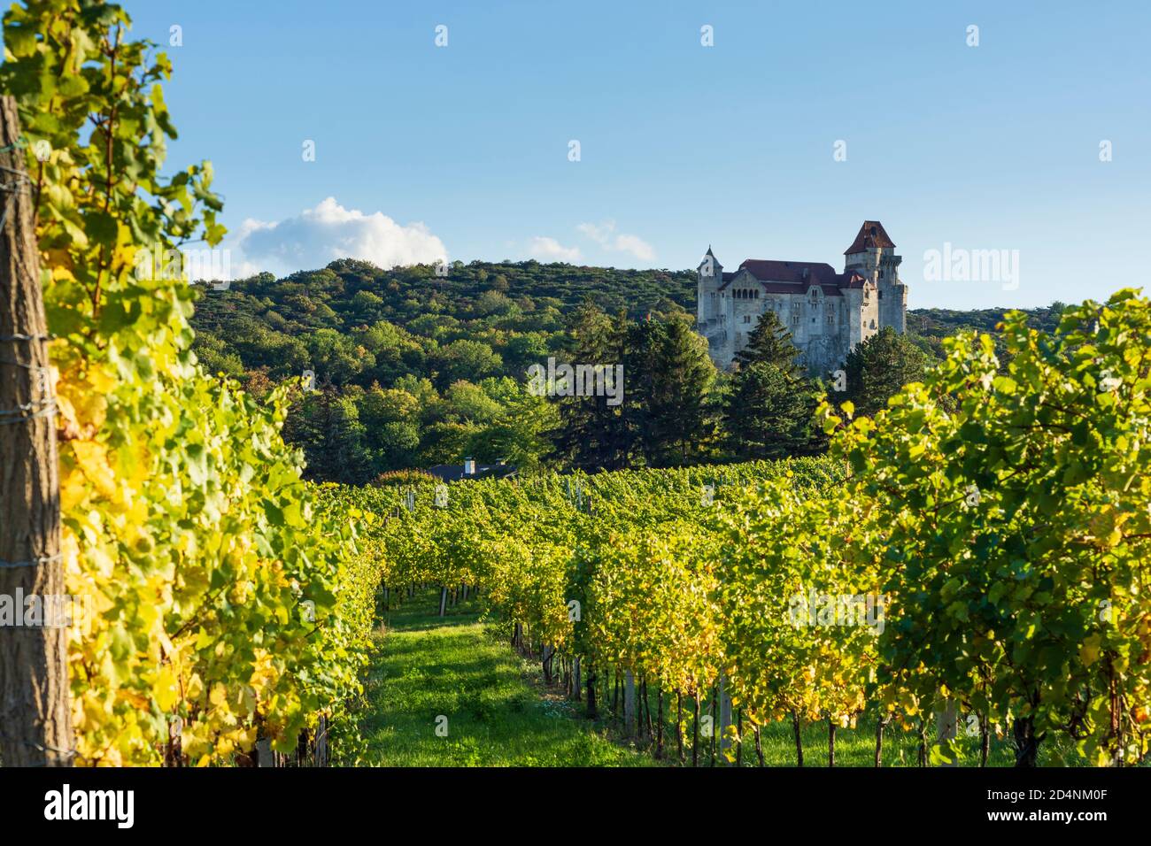 Vineyard in wienerwald vienna woods hires stock photography and images