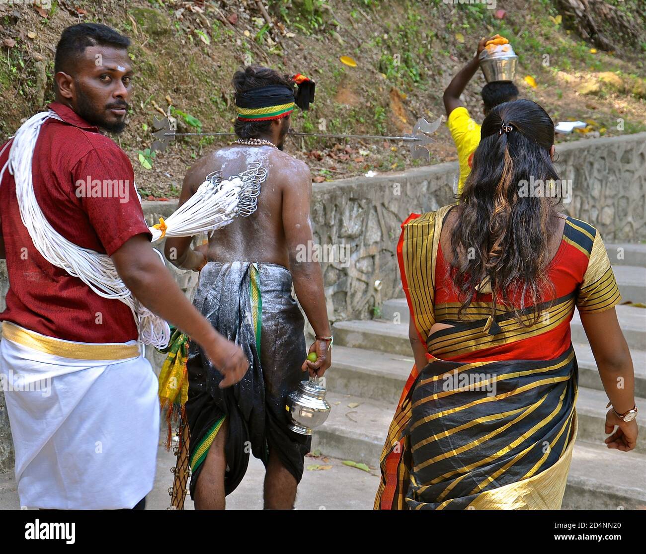 Rear view of a hindu devotee in a thaipusam parade. He has hooks in his back and is pulling another devotee. Stock Photo