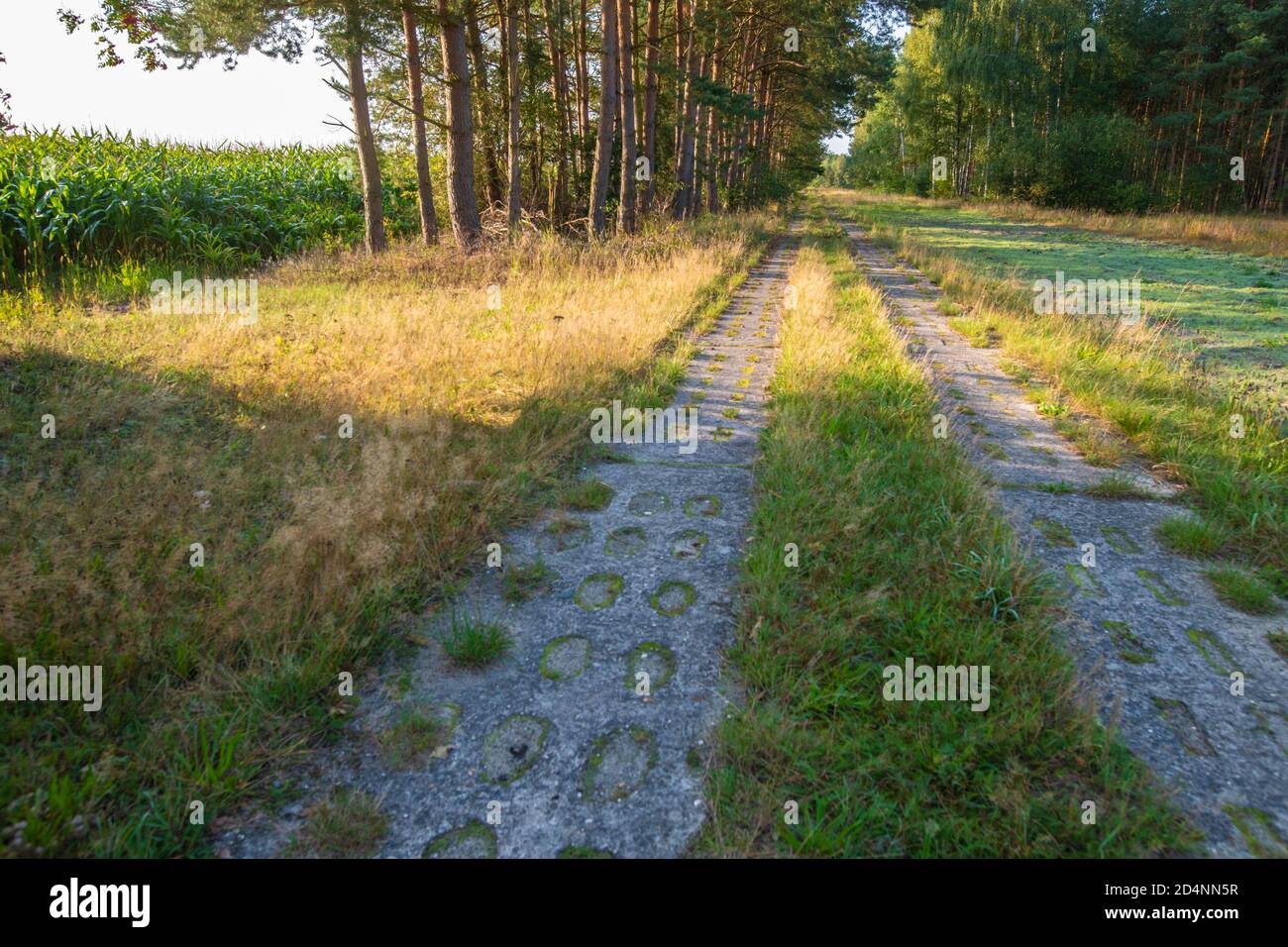 Former sealed border road (tank road) of the German Democratic Republic today forms the green belt (Gruenes Band) a more than 1000 miles long biotype Stock Photo