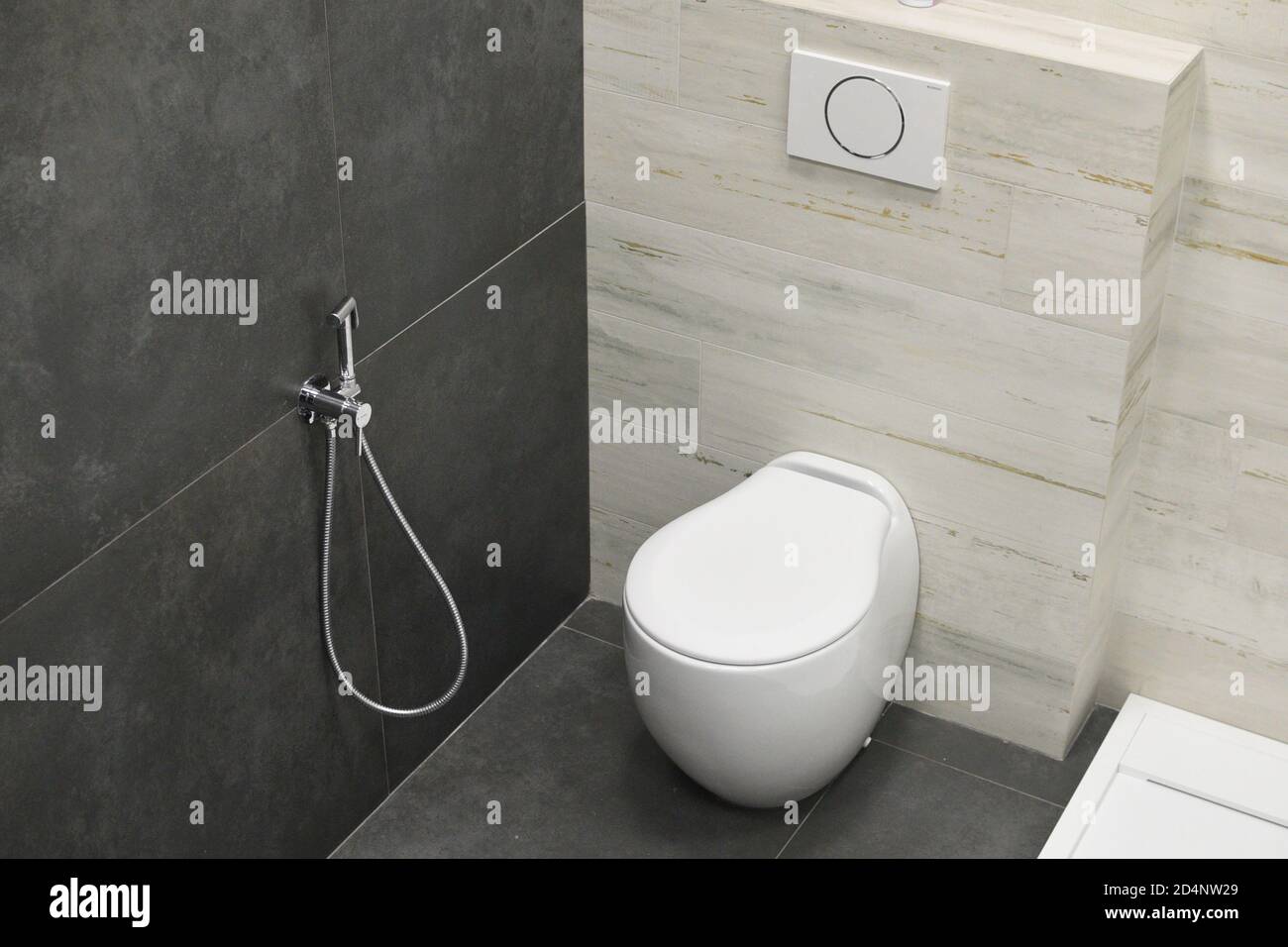 Modern home bathroom interior design with white, toilet or bidet with  chrome shower head. Luxury white themed background for interior and design.  Smal Stock Photo - Alamy