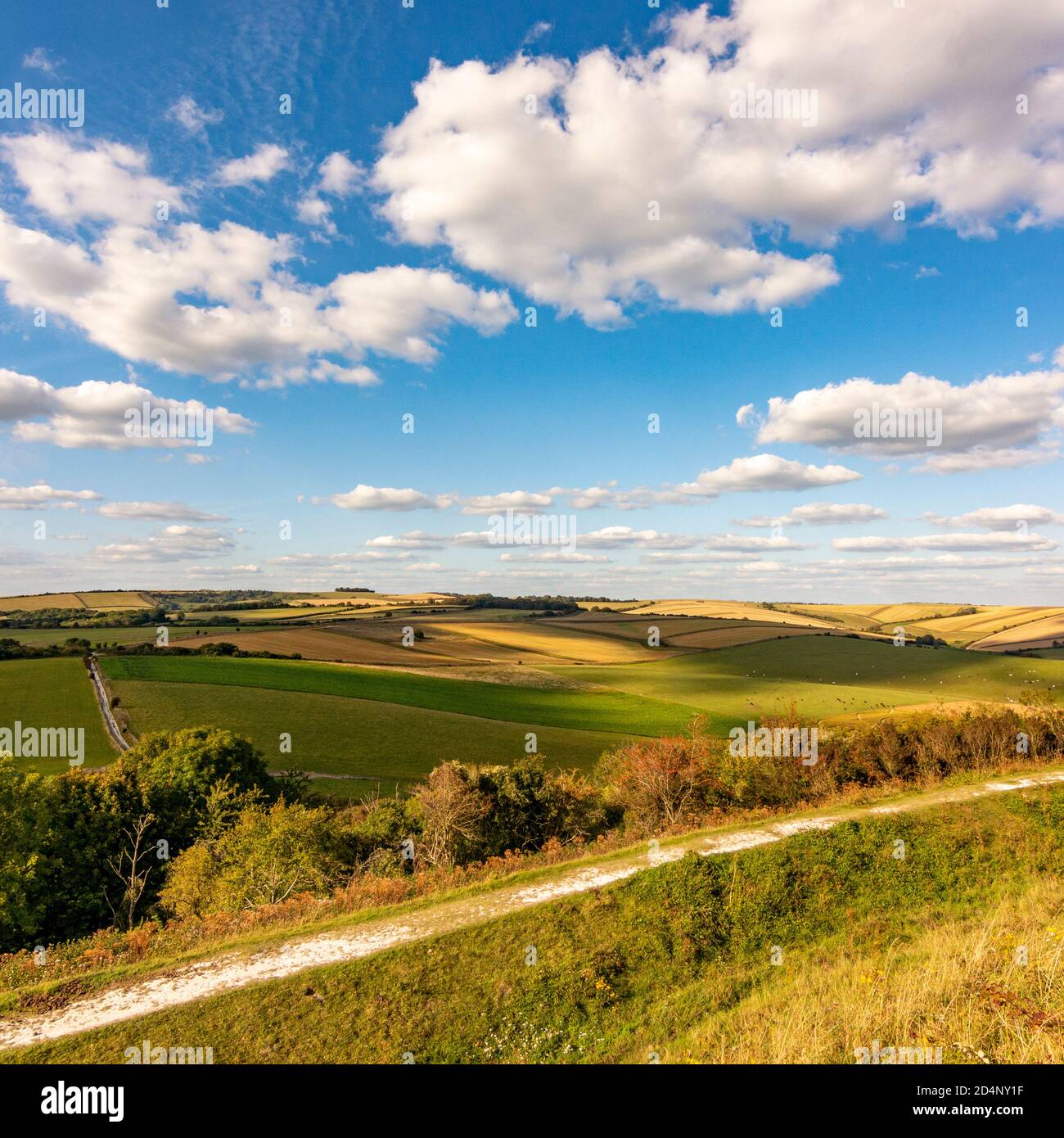 A view north to Chanctonbury Ring from Cissbury Ring in the South Downs National Park, West Sussex, UK. Stock Photo