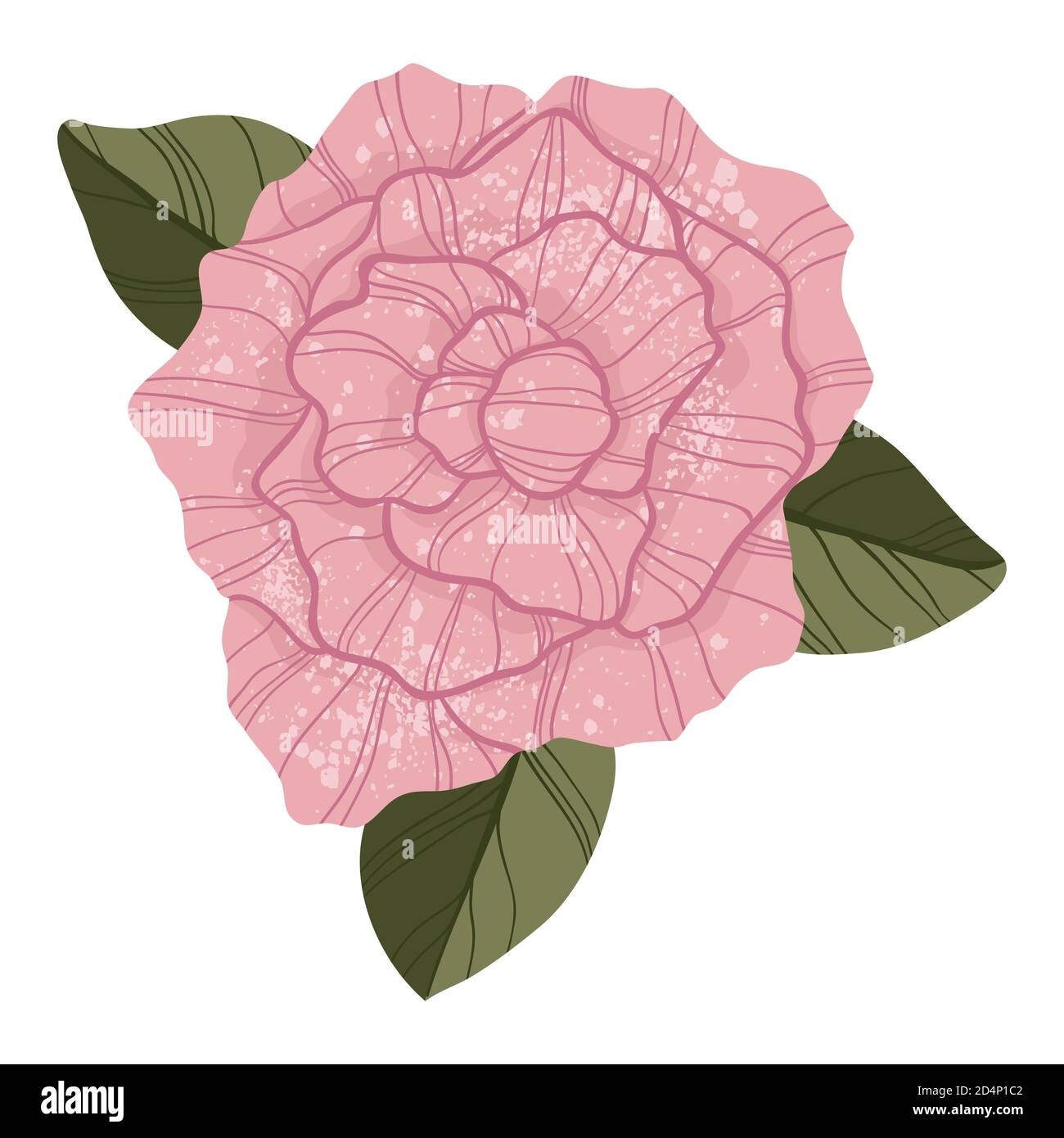 Single pink rose in flat cartoon style. Isolated on white. Top down view. Pink rose flower botanical concept of love. For web, stickers, banners or pr Stock Vector