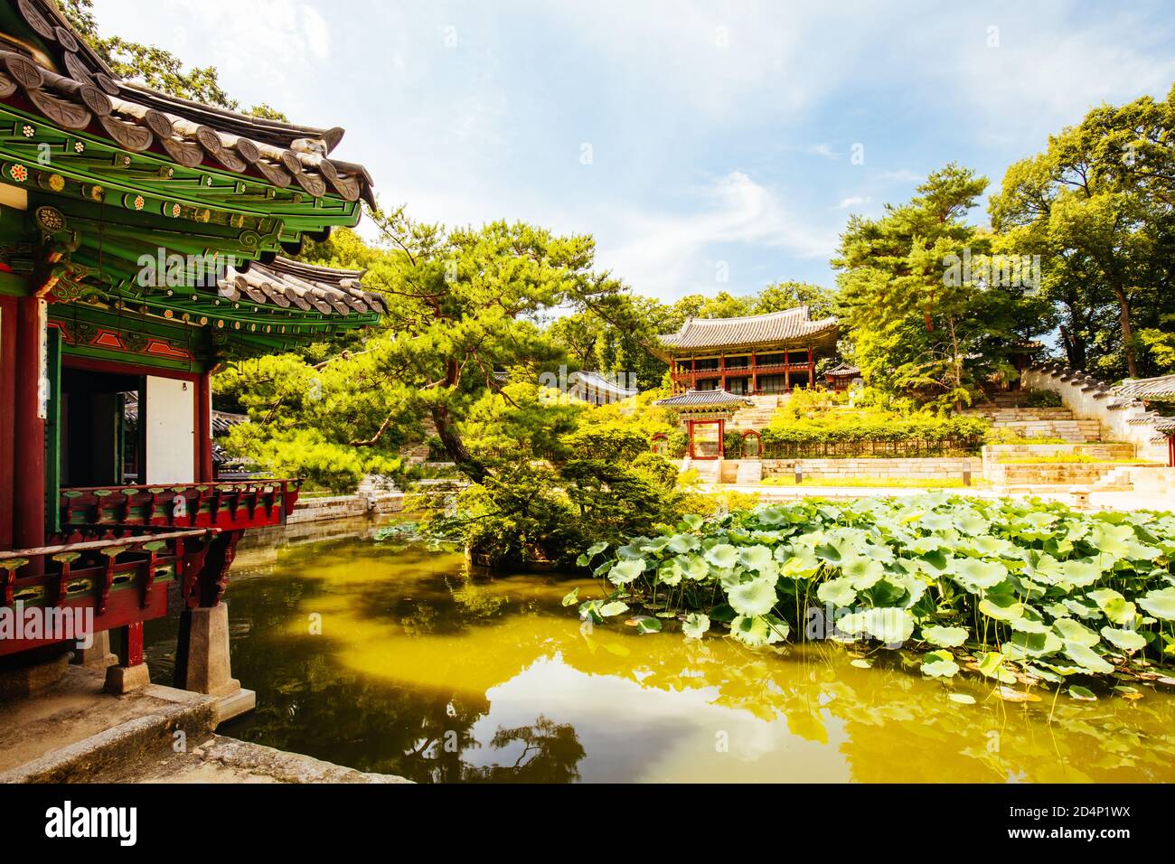 Changdeokgung Palace Secret Garden in South Korea Stock Photo
